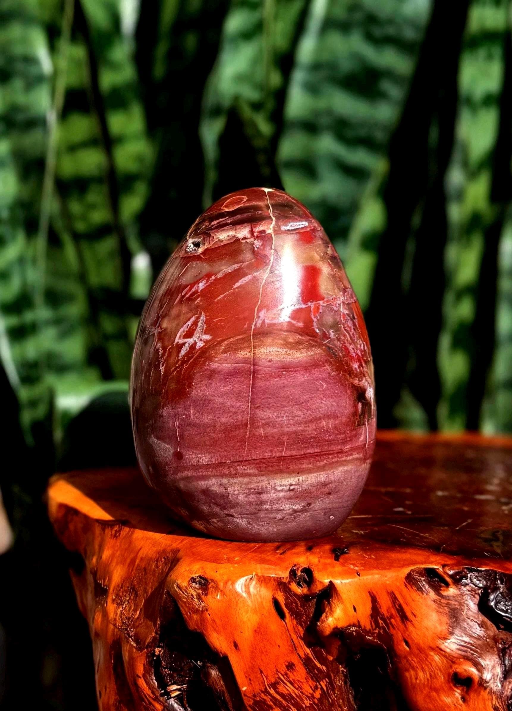Petrified Wood Free Form - For Grounding & Balancing Energy - Root Chakra Stone