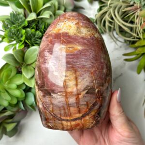 Petrified Wood Freeform | 1133g | - #1 (polished Brown Crystal Chunk, Root Chakra, Healing Stone, Grounding) Petrified Wood Freeform | 1133g | - #1 (polished Brown Crystal Chunk, Root Chakra, Healing Stone, Grounding)
