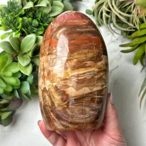 Petrified Wood Freeform | 935g | - #2 (polished Brown Crystal Chunk, Root Chakra, Healing Stone, Grounding) Petrified Wood Freeform | 935g | - #2 (polished Brown Crystal Chunk, Root Chakra, Healing Stone, Grounding)