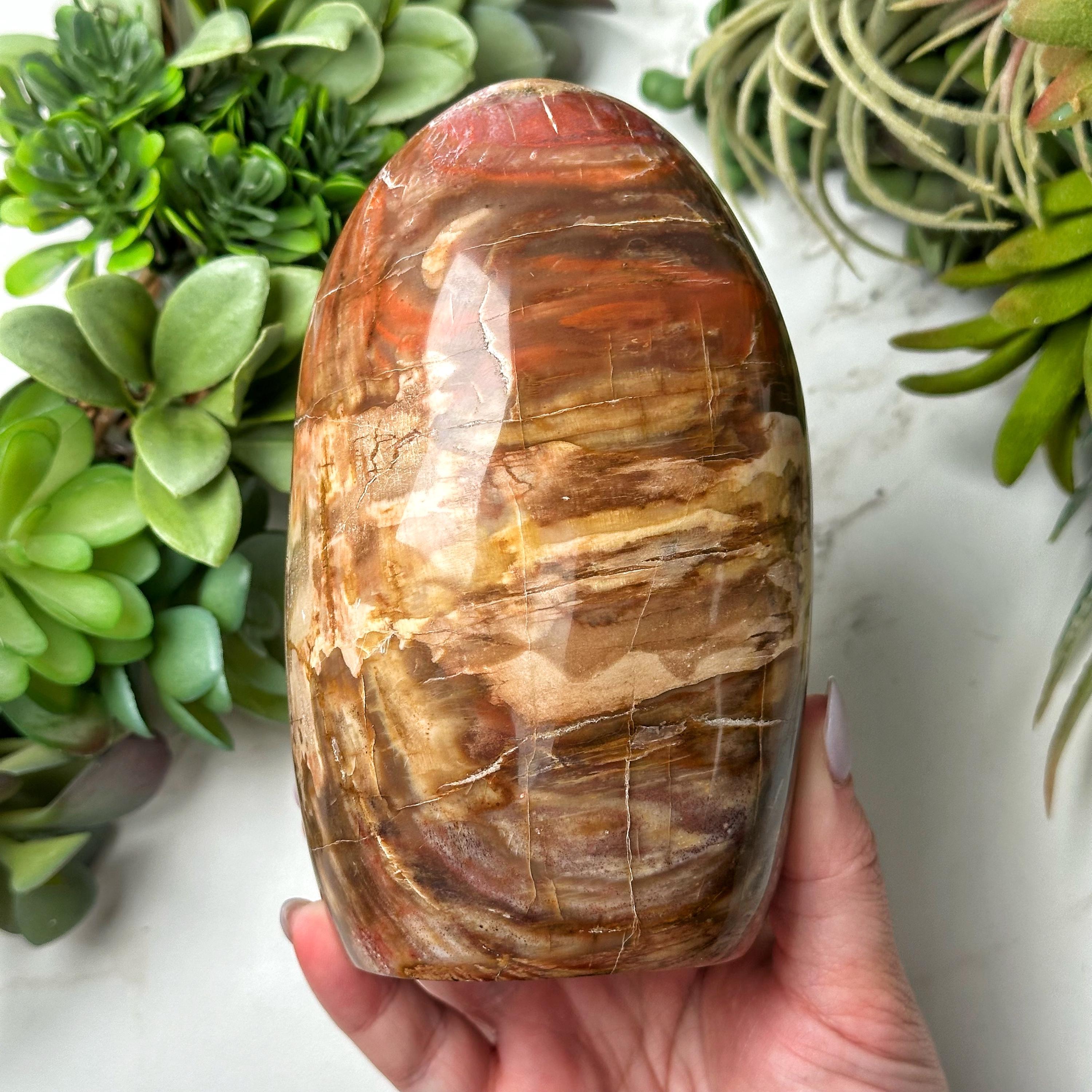 Petrified Wood Freeform | 935g | - #2 (polished Brown Crystal Chunk, Root Chakra, Healing Stone, Grounding)