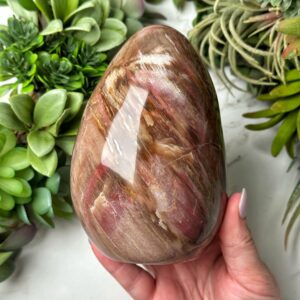 Petrified Wood Freeform | 1048g | - #3 (polished Brown Crystal Chunk, Root Chakra, Healing Stone, Grounding) Petrified Wood Freeform | 1048g | - #3 (polished Brown Crystal Chunk, Root Chakra, Healing Stone, Grounding)