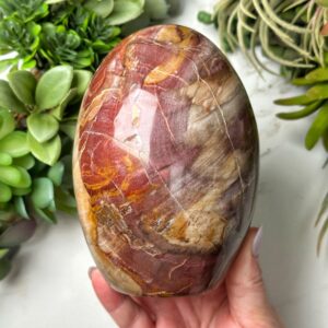 Petrified Wood Freeform | 982g | - #4 (polished Brown Crystal Chunk, Root Chakra, Healing Stone, Grounding) Petrified Wood Freeform | 982g | - #4 (polished Brown Crystal Chunk, Root Chakra, Healing Stone, Grounding)