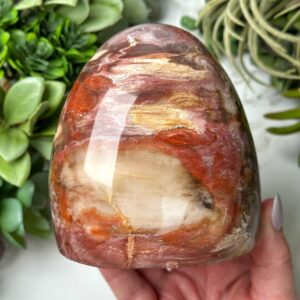 Petrified Wood Freeform | 736g | - #7 (polished Brown Crystal Chunk, Root Chakra, Healing Stone, Grounding) Petrified Wood Freeform | 736g | - #7 (polished Brown Crystal Chunk, Root Chakra, Healing Stone, Grounding)