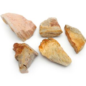 Freeform Petrified Wood (RK37B3-08)