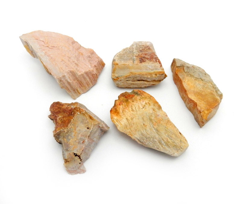 Freeform Petrified Wood (rk37b3-08)