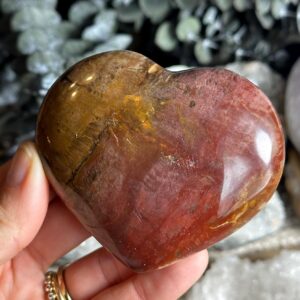 Petrified Wood Heart: 3 Inch Crystal Heart Petrified Wood Heart: 3 Inch Crystal Heart