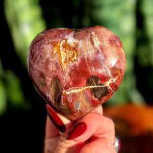 Petrified Wood Heart - For Grounding & Balancing Energy - Root Chakra Stone - Fossilized Wood - Crystal Heart
