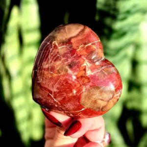 Petrified Wood heart - for grounding & balancing energy - Root Chakra stone - fossilized wood - crystal heart Petrified Wood heart - for grounding & balancing energy - Root Chakra stone - fossilized wood - crystal heart
