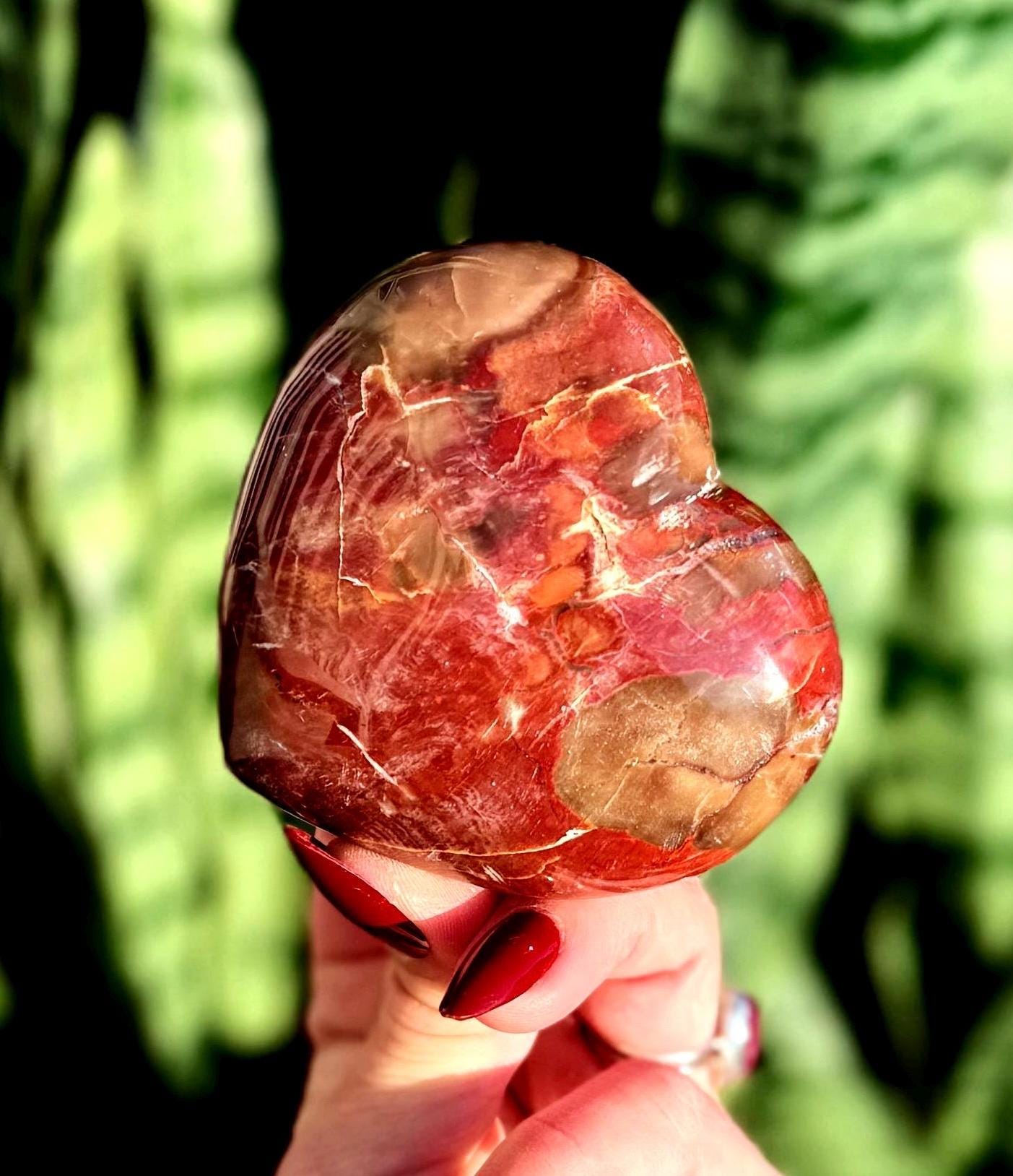 Petrified Wood Heart - For Grounding & Balancing Energy - Root Chakra Stone - Fossilized Wood - Crystal Heart Petrified Wood Heart - For Grounding & Balancing Energy - Root Chakra Stone - Fossilized Wood - Crystal Heart