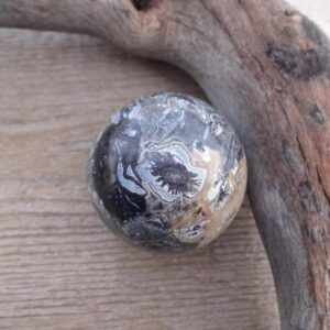 Indonesian Petrified Wood Sphere 47mm, Fossil Gems And Minerals, Healing Stones Home Decor Rocks, And Geodes, Gemstone Sphere Collectible Indonesian Petrified Wood Sphere 47mm, Fossil Gems And Minerals, Healing Stones Home Decor Rocks, And Geodes, Gemstone Sphere Collectible