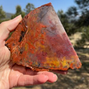 Petrified Wood Lapidary Slab natural stone supplies Petrified Wood Lapidary Slab natural stone supplies
