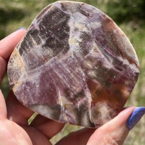 Petrified Wood Lapidary Slab natural stone polished Petrified Wood Lapidary Slab natural stone polished