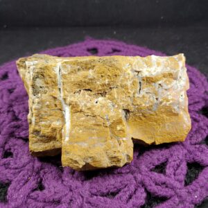 Large Petrified Wood Chunk Freeform Crystal Druzy natural crystals pet Parker Colorado Co USA Large Petrified Wood Chunk Freeform Crystal Druzy natural crystals pet Parker Colorado Co USA