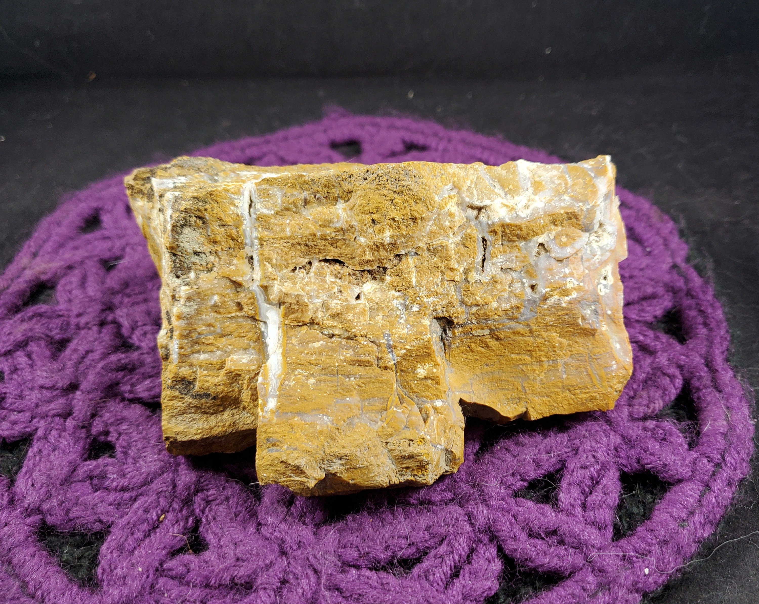Large Petrified Wood Chunk Freeform Crystal Druzy Natural Crystals Pet Parker Colorado Co Usa