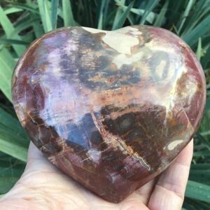 LARGE PETRIFIED WOOD Puffy Heart: Fossil, Agatized Wood 4” LARGE PETRIFIED WOOD Puffy Heart: Fossil, Agatized Wood 4”