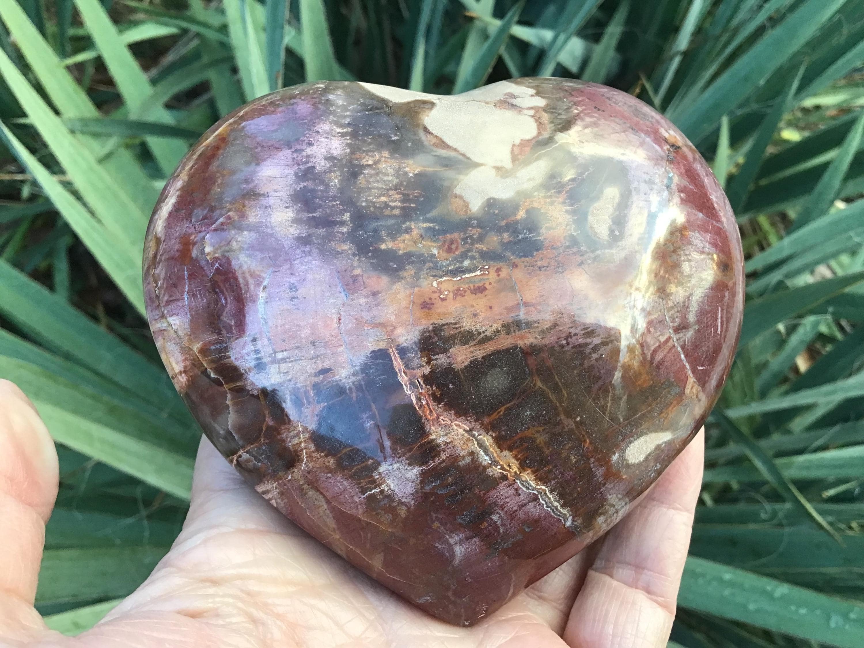 Large Petrified Wood Puffy Heart: Fossil, Agatized Wood 4”