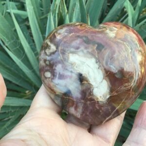 Petrified Wood Large Puffy Heart: Fossil, Agatized Wood 3” Petrified Wood Large Puffy Heart: Fossil, Agatized Wood 3”