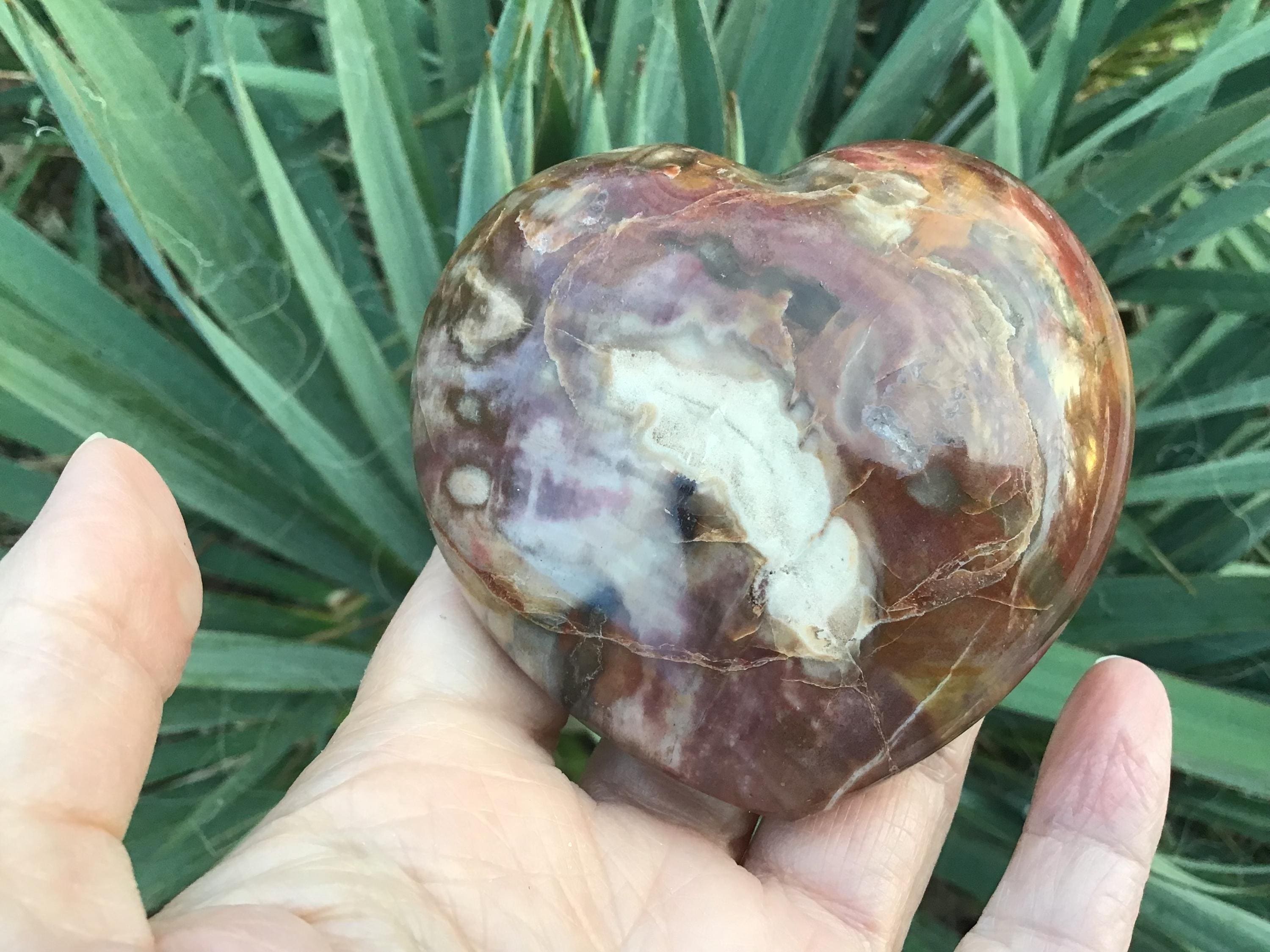 Petrified Wood Large Puffy Heart: Fossil, Agatized Wood 3” Petrified Wood Large Puffy Heart: Fossil, Agatized Wood 3”