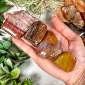 Petrified Wood Mini Freeform | S, M, L | - No. 841 (polished Brown Crystal Chunk, Root Chakra, Healing Stone)