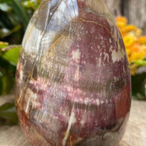 Madagascar Petrified Wood Egg, Mineralized Ancient Wood Madagascar Petrified Wood Egg, Mineralized Ancient Wood