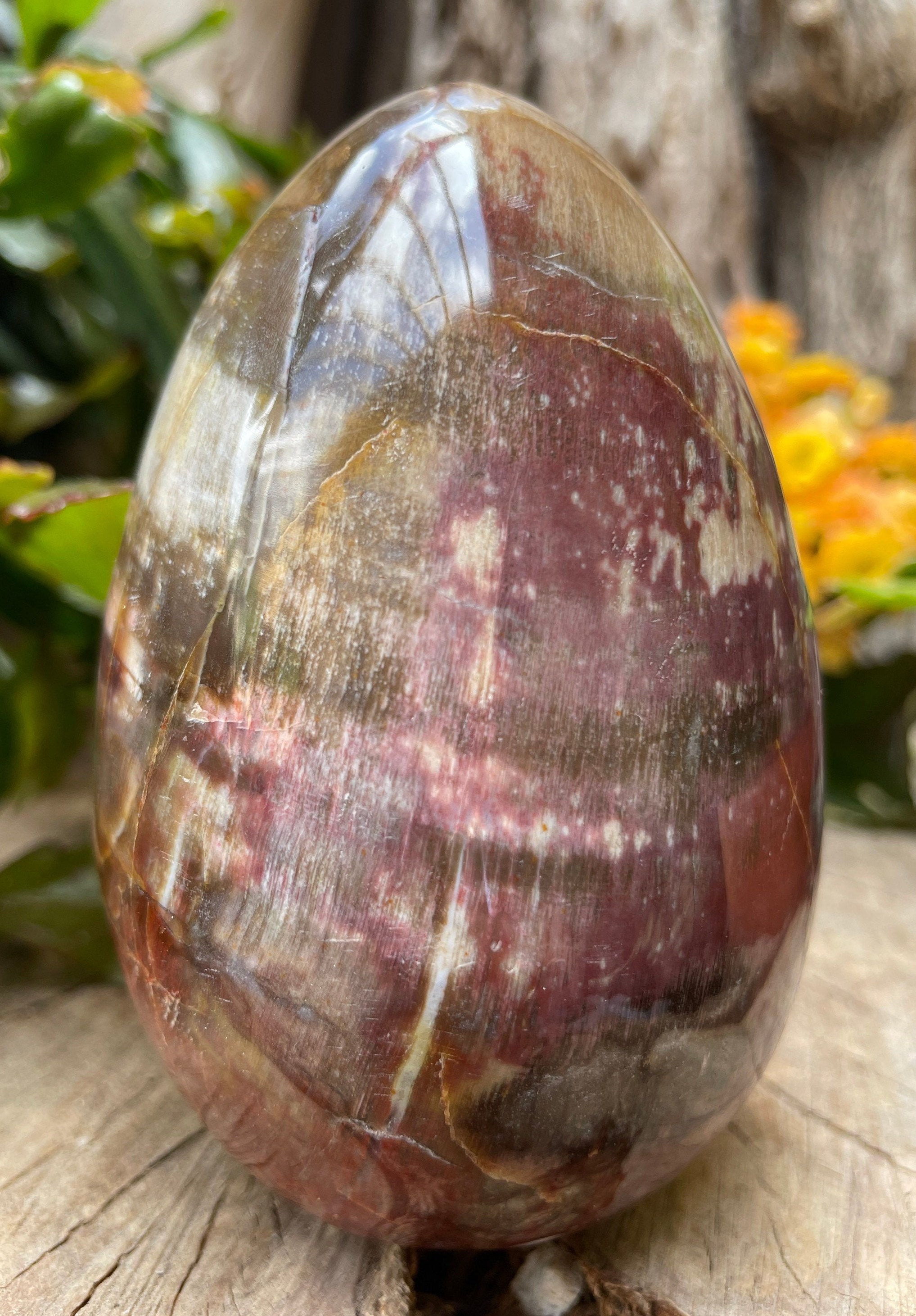 Madagascar Petrified Wood Egg, Mineralized Ancient Wood