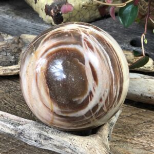 Madagascar Petrified Wood Sphere: Ancient Mineralized Fossil Madagascar Petrified Wood Sphere: Ancient Mineralized Fossil