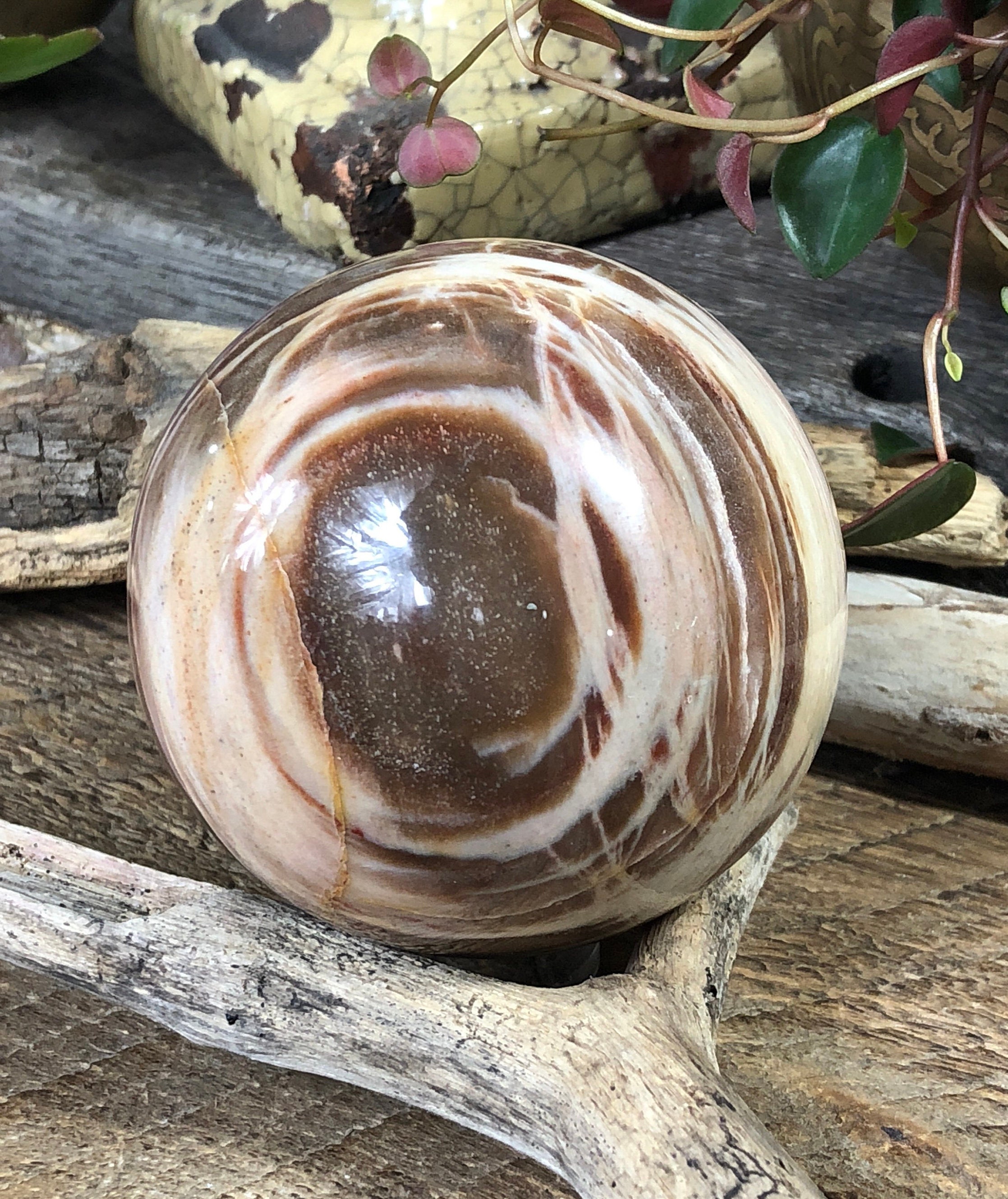 Madagascar Petrified Wood Sphere: Ancient Mineralized Fossil
