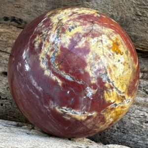 Madagascar Petrified Wood Sphere: Mineralized Ancient Wood Madagascar Petrified Wood Sphere: Mineralized Ancient Wood