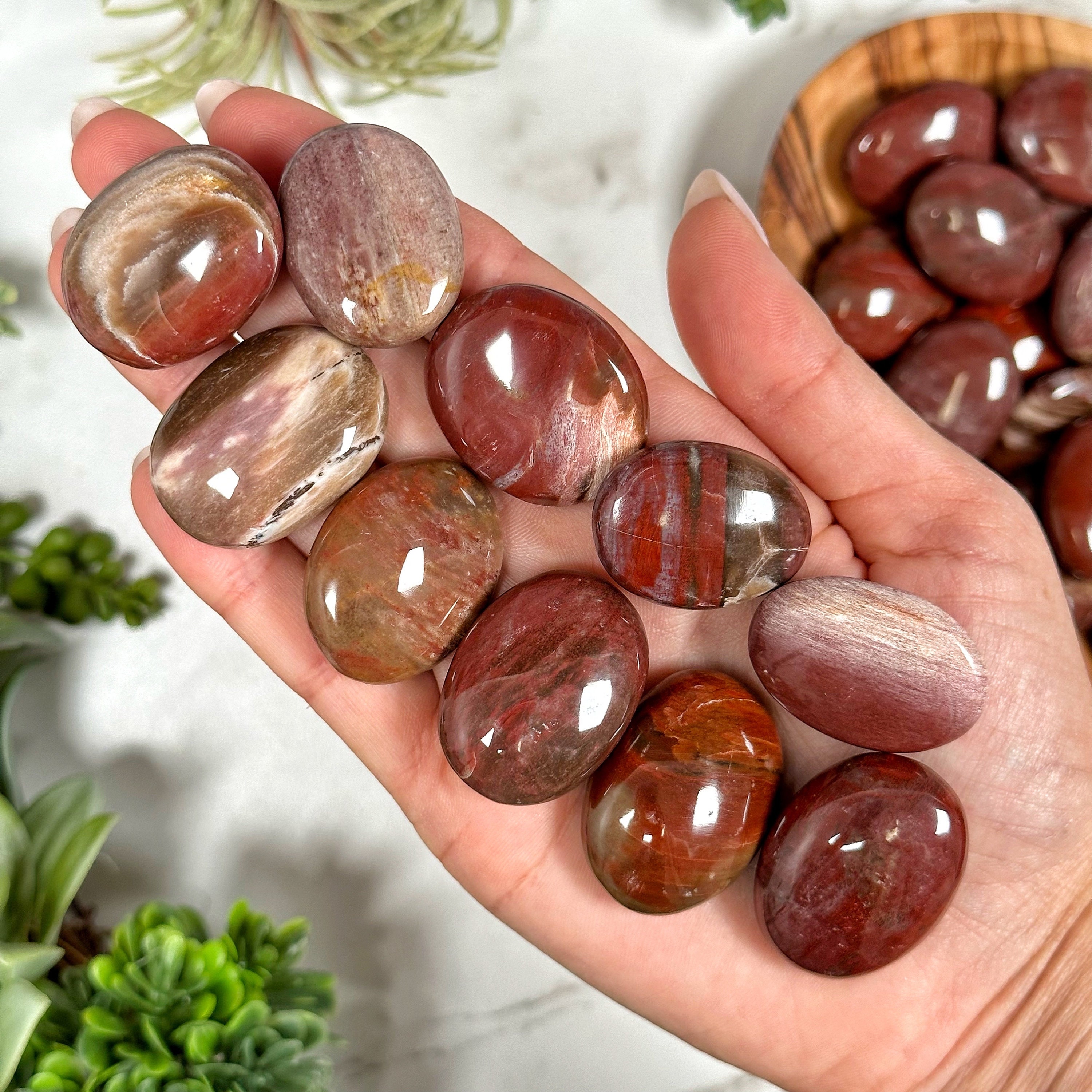 Petrified Wood Mini Palmstone | 15-19g | - No. 118 (polished Red Crystal Pocket Stone Palm, Root Chakra, Grounding)