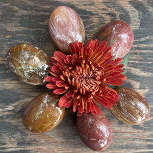Petrified Wood, Petrified Wood Palm Stone, Qty. 1 Petrified Wood, Petrified Wood Palm Stone, Qty. 1