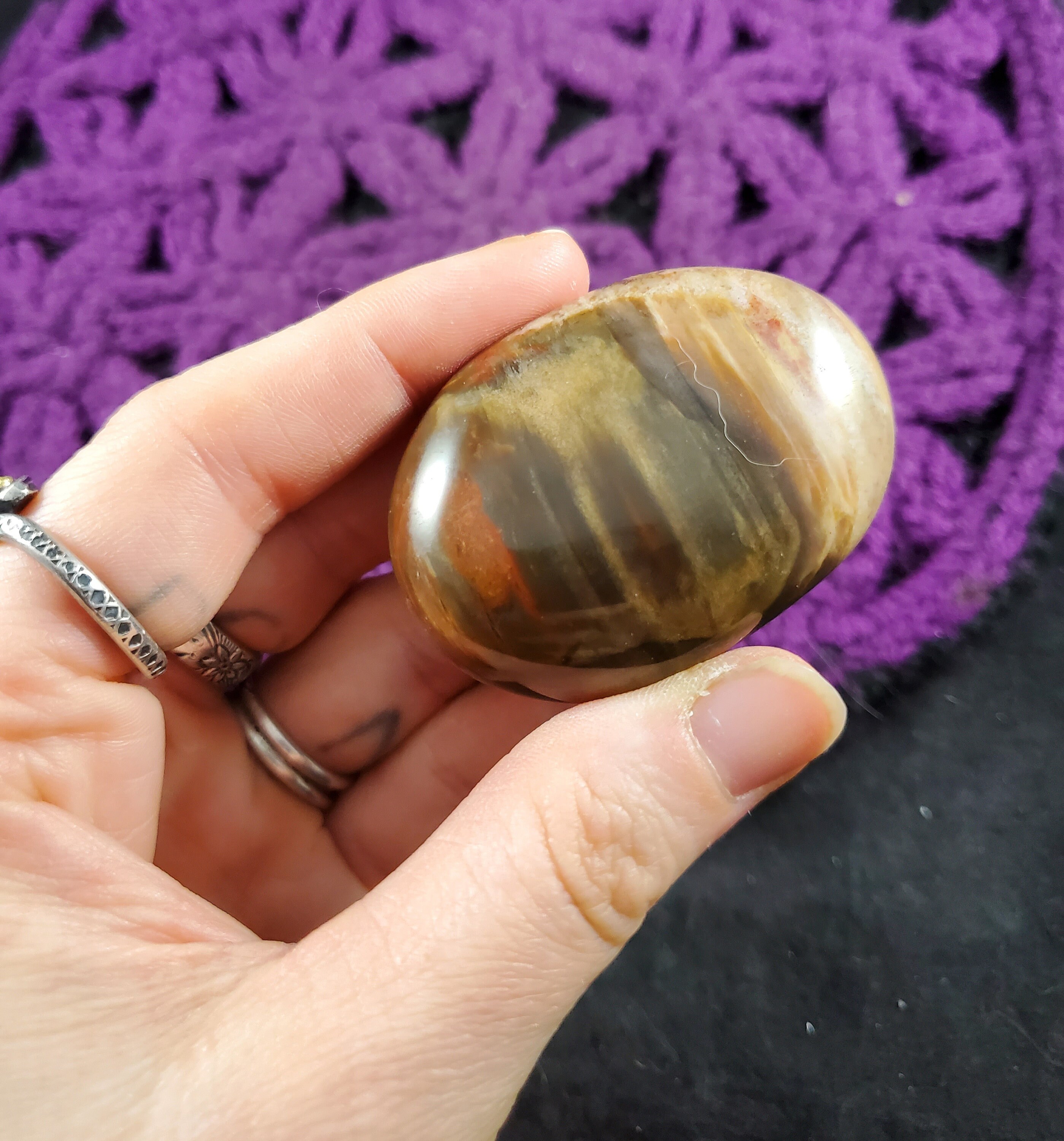 Petrified Wood Palmstone Gallet Red Brown Polished Palm Stone Crystal Gemstones Natural Pet Madagascar Fossil Fossilized Petrified Wood Palmstone Gallet Red Brown Polished Palm Stone Crystal Gemstones Natural Pet Madagascar Fossil Fossilized
