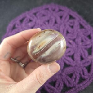 Petrified Wood Palmstone Gallet Red Brown Polished Palm Stone Crystal Natural pet Madagascar fossil fossilized Petrified Wood Palmstone Gallet Red Brown Polished Palm Stone Crystal Natural pet Madagascar fossil fossilized