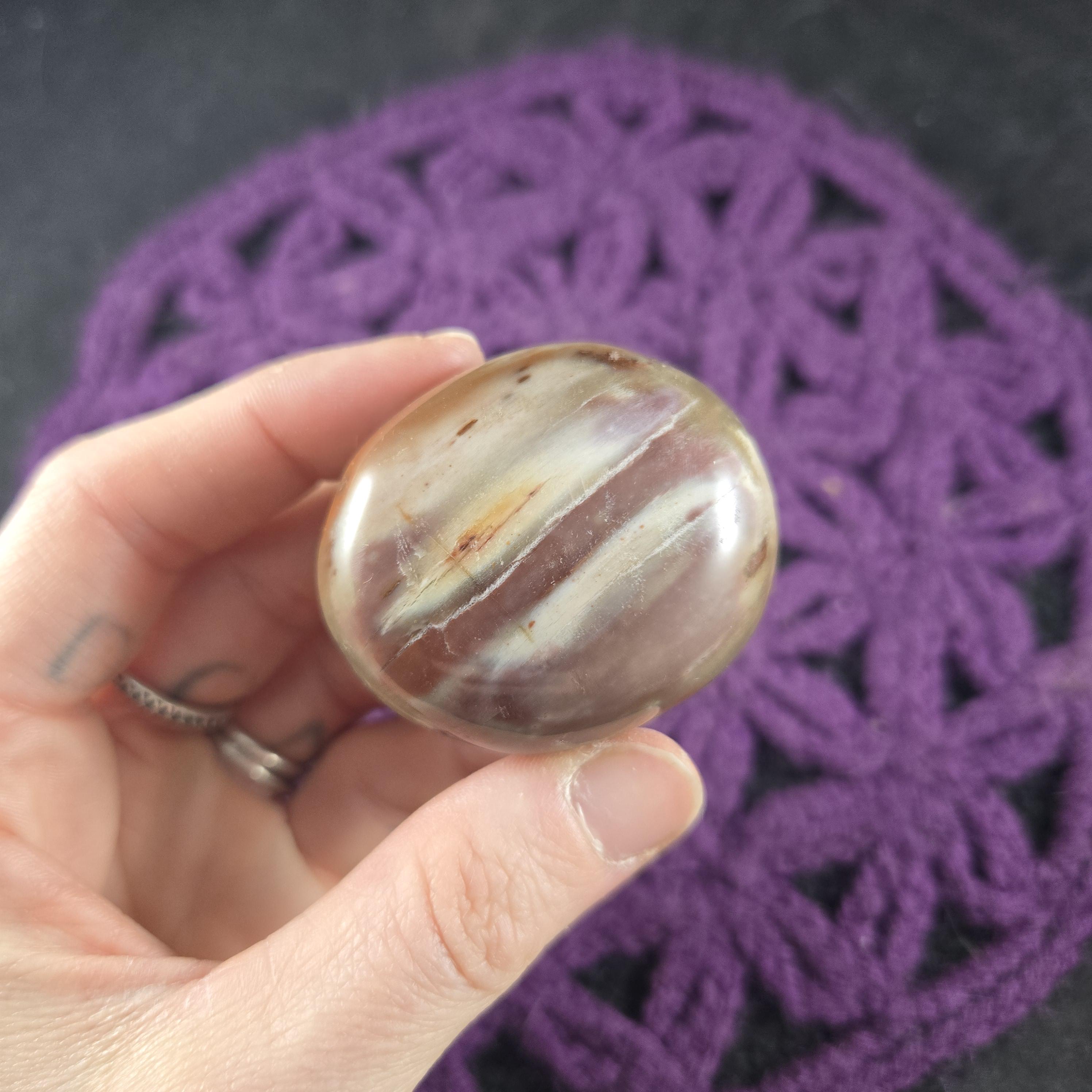 Petrified Wood Palmstone Gallet Red Brown Polished Palm Stone Crystal Natural Pet Madagascar Fossil Fossilized