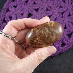 Petrified Wood Palmstone Gallet Red Brown Polished Palm Stone Crystal Gemstones natural pet Madagascar fossil fossilized Petrified Wood Palmstone Gallet Red Brown Polished Palm Stone Crystal Gemstones natural pet Madagascar fossil fossilized