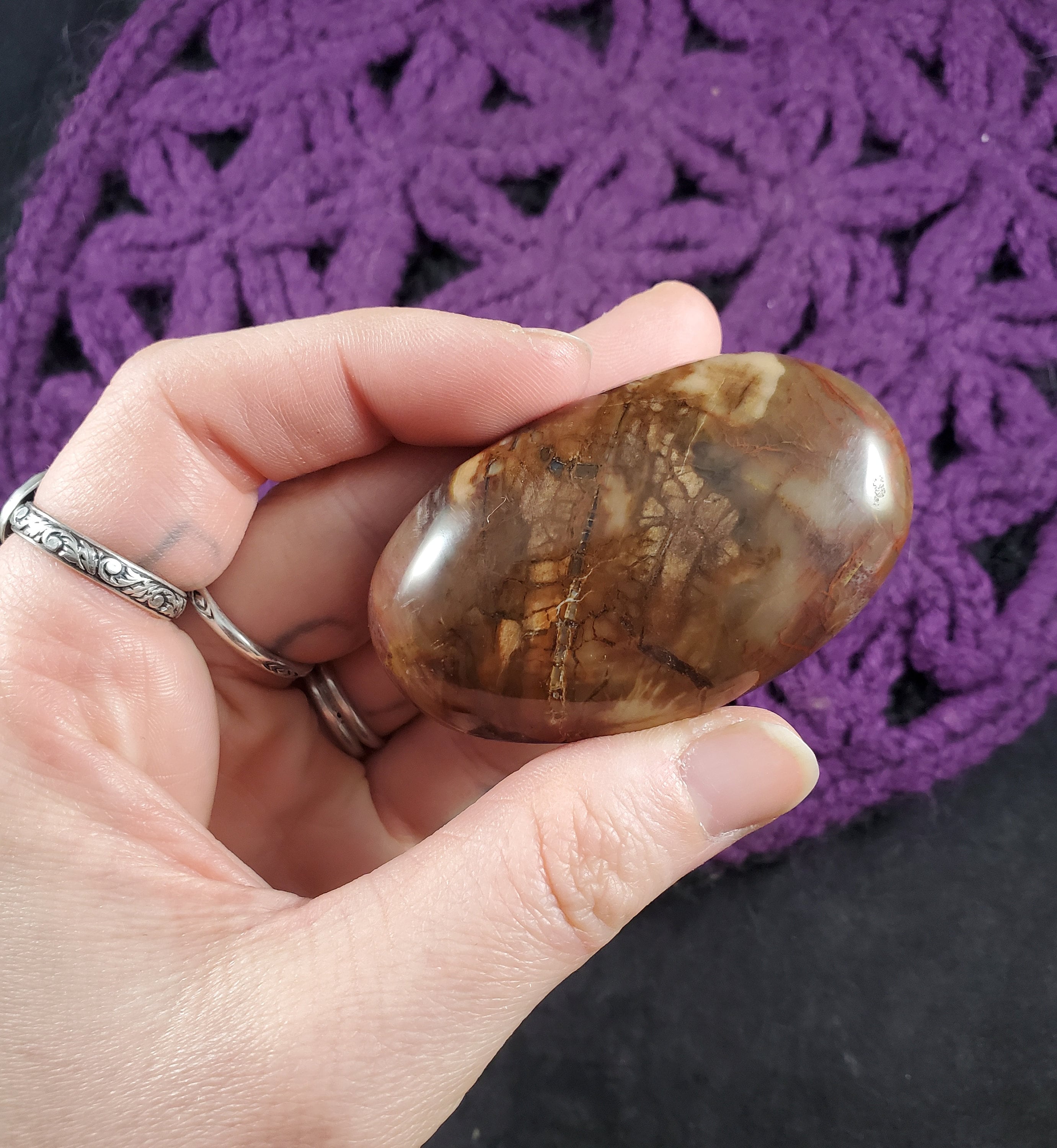 Petrified Wood Palmstone Gallet Red Brown Polished Palm Stone Crystal Gemstones Natural Pet Madagascar Fossil Fossilized Petrified Wood Palmstone Gallet Red Brown Polished Palm Stone Crystal Gemstones Natural Pet Madagascar Fossil Fossilized