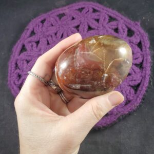 Petrified Wood Palmstone Large Gallet Red Brown Polished Palm Stone Crystal Gemstones natural pet Madagascar fossil fossilized Petrified Wood Palmstone Large Gallet Red Brown Polished Palm Stone Crystal Gemstones natural pet Madagascar fossil fossilized