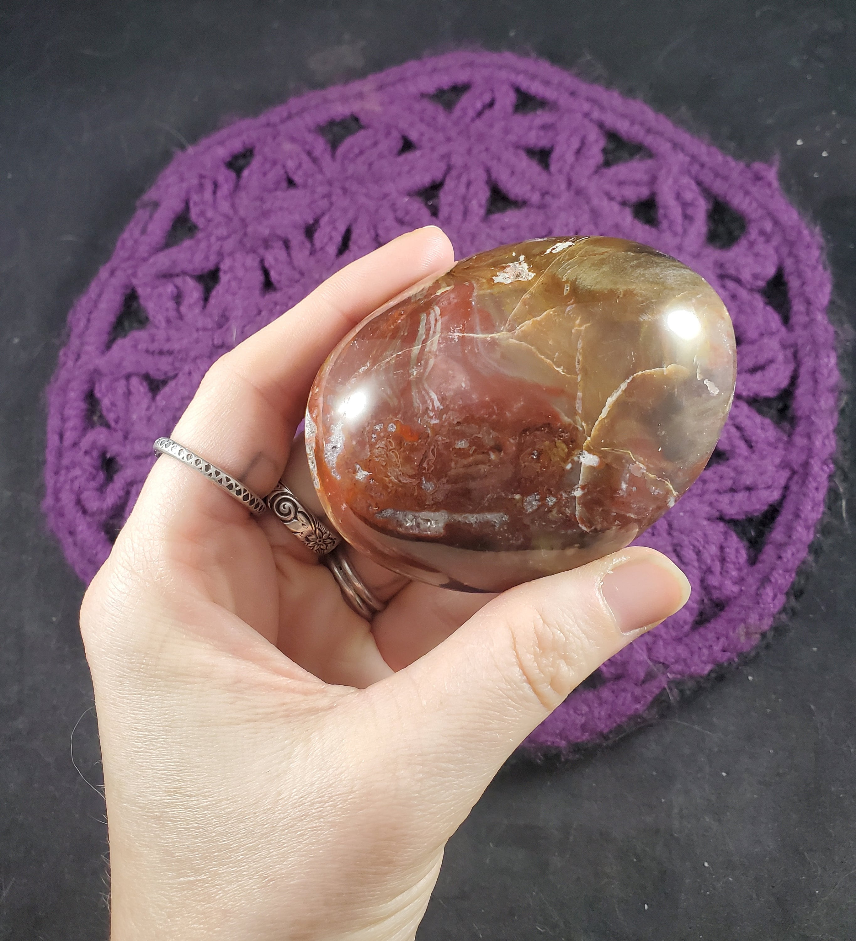 Petrified Wood Palmstone Large Gallet Red Brown Polished Palm Stone Crystal Gemstones Natural Pet Madagascar Fossil Fossilized