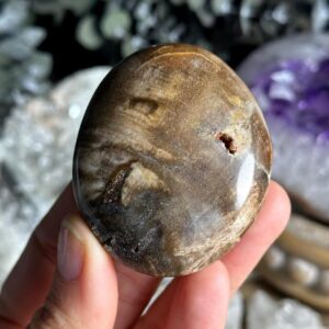 Petrified Wood Palmstone, Palm Stone , Root Chakra, Security, Grounding, Wisdom Petrified Wood Palmstone, Palm Stone , Root Chakra, Security, Grounding, Wisdom