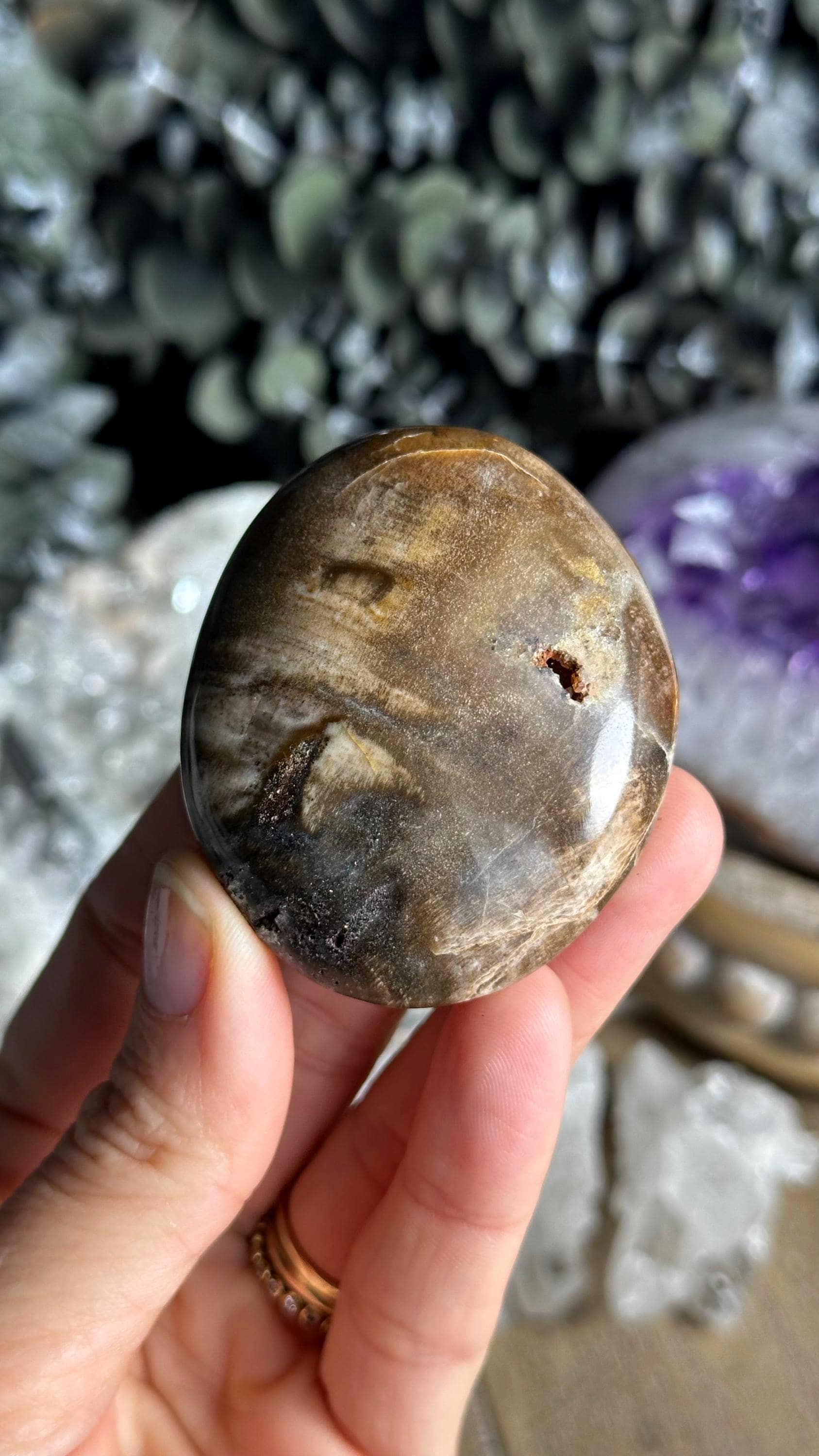 Petrified Wood Palmstone, Palm Stone , Root Chakra, Security, Grounding, Wisdom