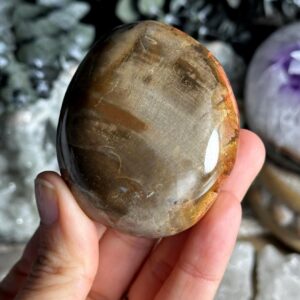 Petrified Wood Palmstone, Palm Stone , Root Chakra, Security, Grounding, Wisdom Petrified Wood Palmstone, Palm Stone , Root Chakra, Security, Grounding, Wisdom