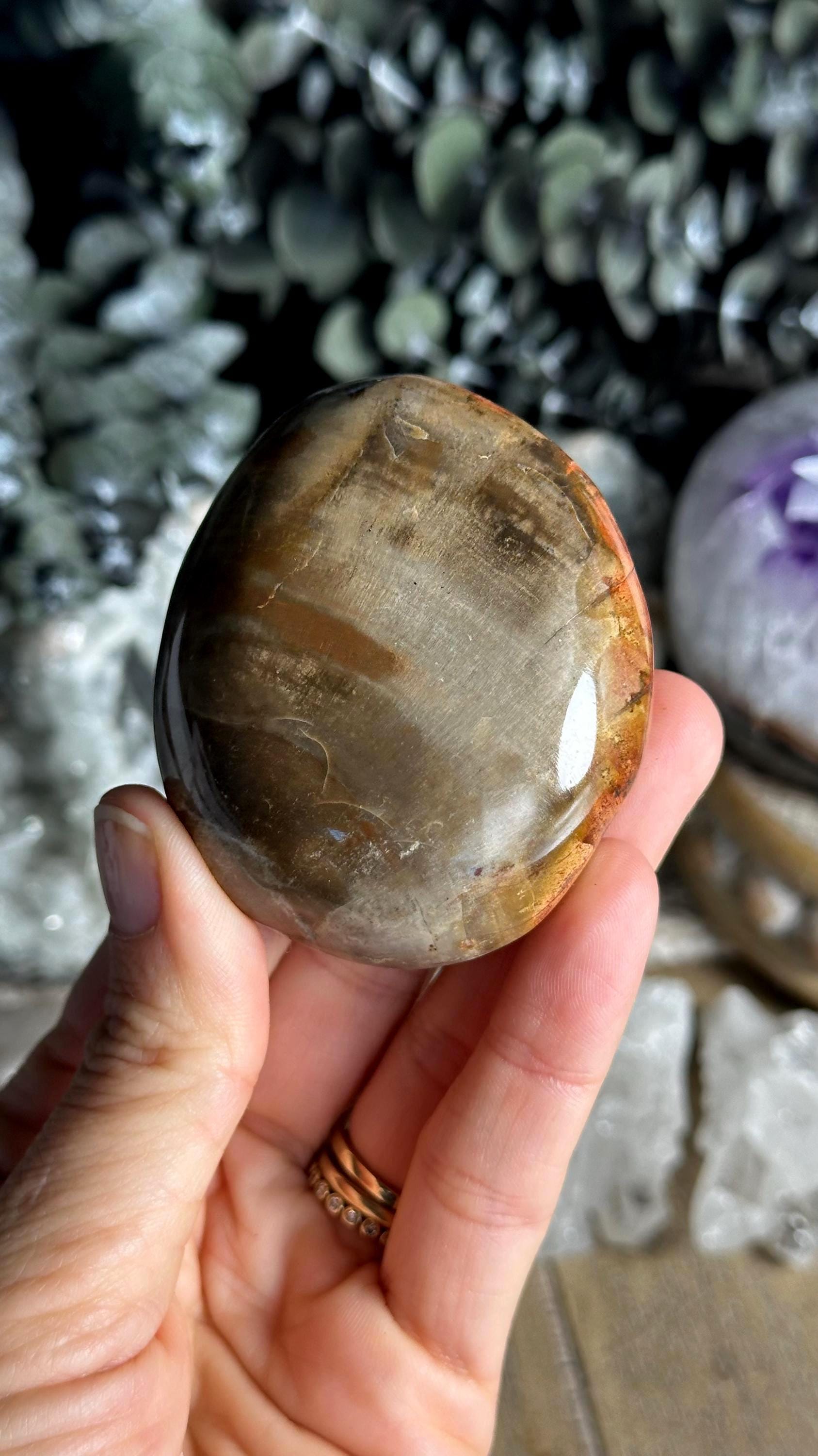 Petrified Wood Palmstone, Palm Stone , Root Chakra, Security, Grounding, Wisdom Petrified Wood Palmstone, Palm Stone , Root Chakra, Security, Grounding, Wisdom