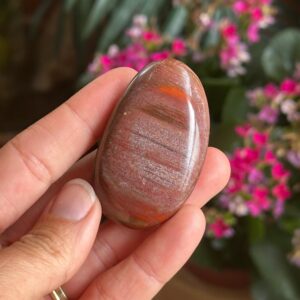 Petrified Wood Palmstone, Palm Stone , Root Chakra, Security, Grounding, Wisdom