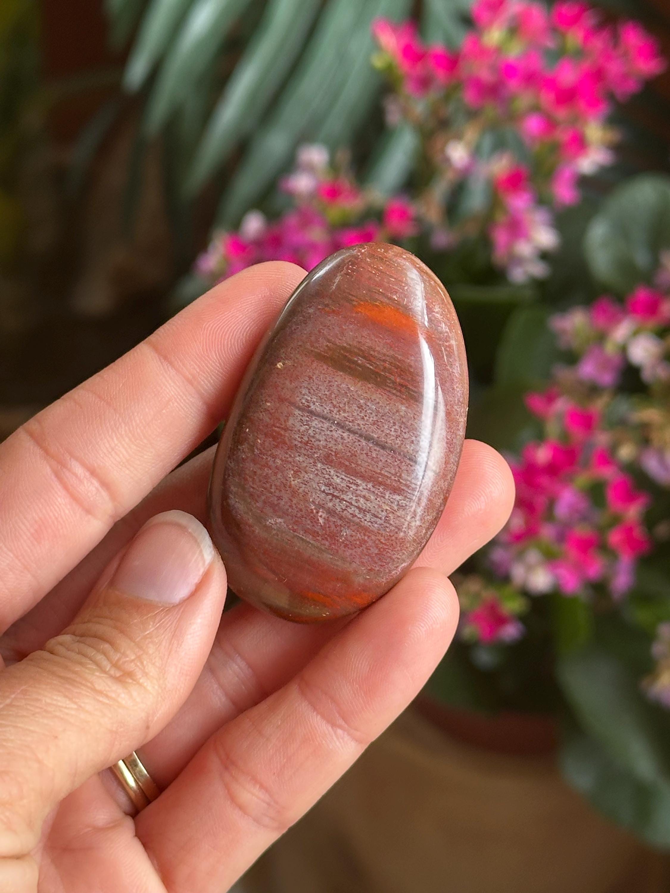 Petrified Wood Palmstone, Palm Stone , Root Chakra, Security, Grounding, Wisdom