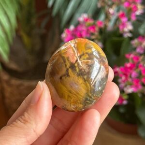 Petrified Wood Palmstone, Palm Stone , Root Chakra, Security, Grounding, Wisdom