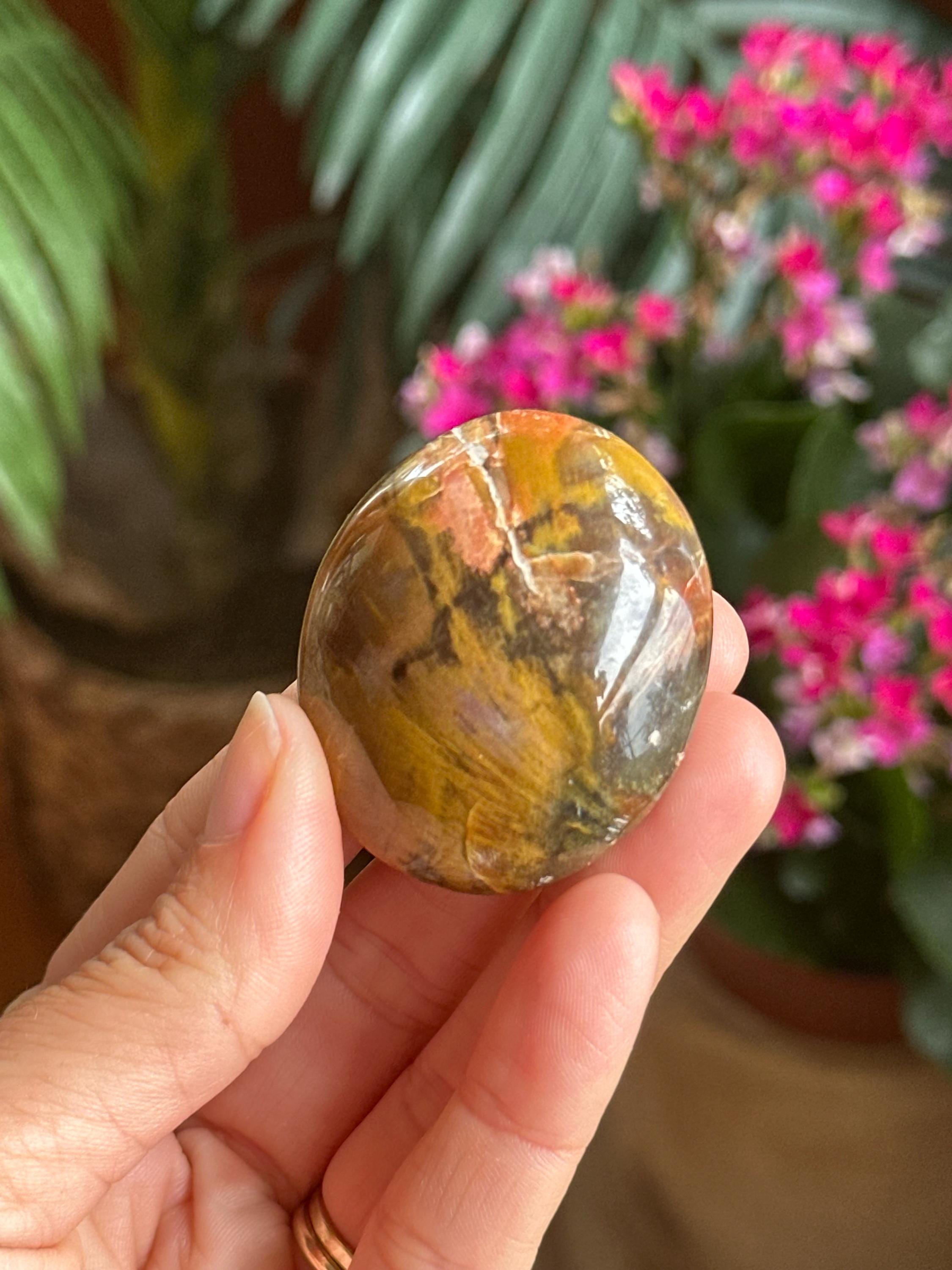 Petrified Wood Palmstone, Palm Stone , Root Chakra, Security, Grounding, Wisdom