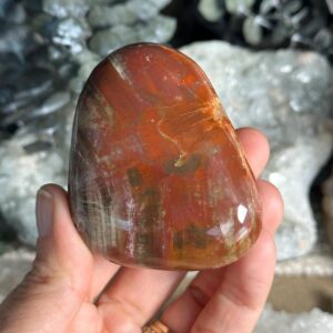 Petrified Wood Palmstone, Palm Stone , Root Chakra, Security, Grounding, Wisdom Petrified Wood Palmstone, Palm Stone , Root Chakra, Security, Grounding, Wisdom