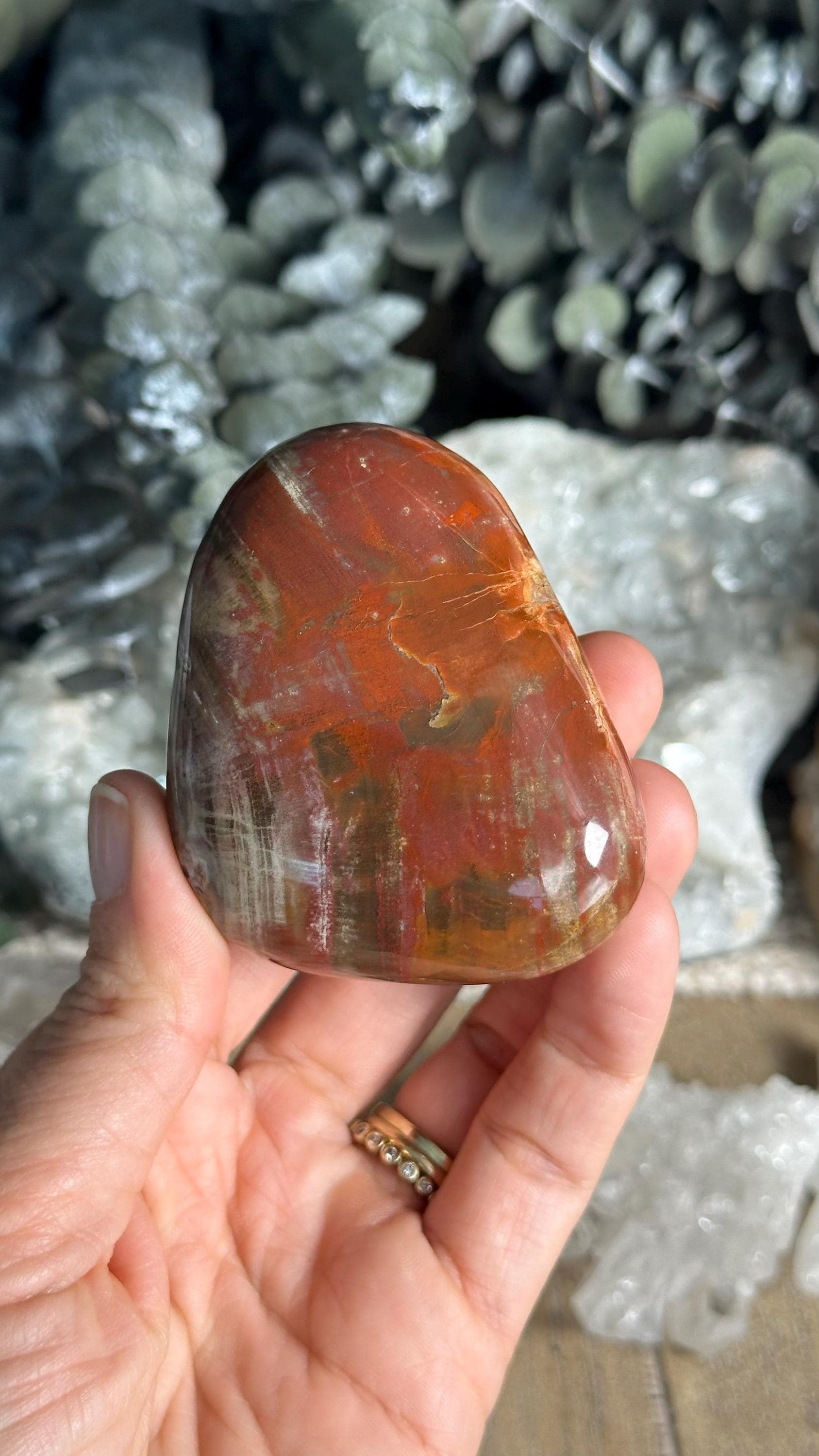 Petrified Wood Palmstone, Palm Stone , Root Chakra, Security, Grounding, Wisdom