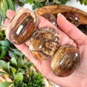 Petrified Wood Palmstone | Xs-xl | - No. 803 (polished Red Crystal Pocket Stone Palm, Root Chakra, Grounding)