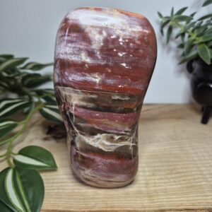 Petrified Wood Polished Free Form | Fossil Wood Crystal | Grounding Home Décor Petrified Wood Polished Free Form | Fossil Wood Crystal | Grounding Home Décor