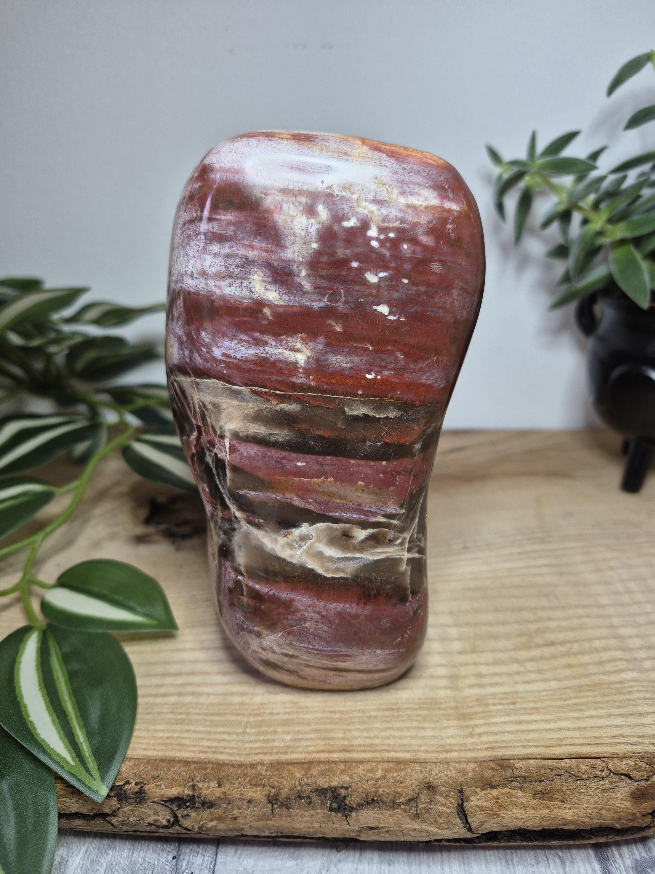 Petrified Wood Polished Free Form | Fossil Wood Crystal | Grounding Home Décor